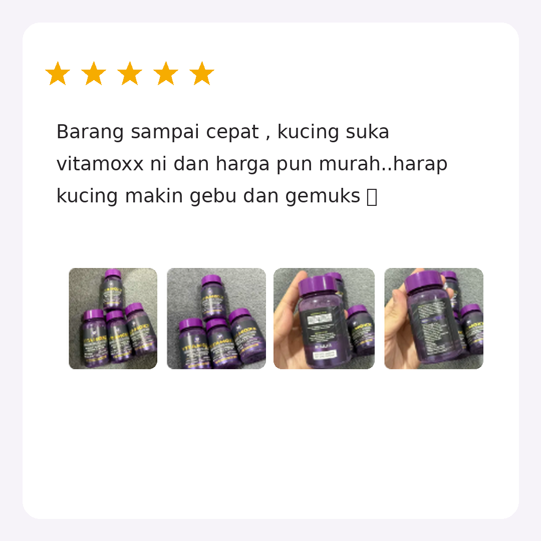 Testimoni 2